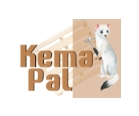 Kema Pal Palette Rennes Logo 1