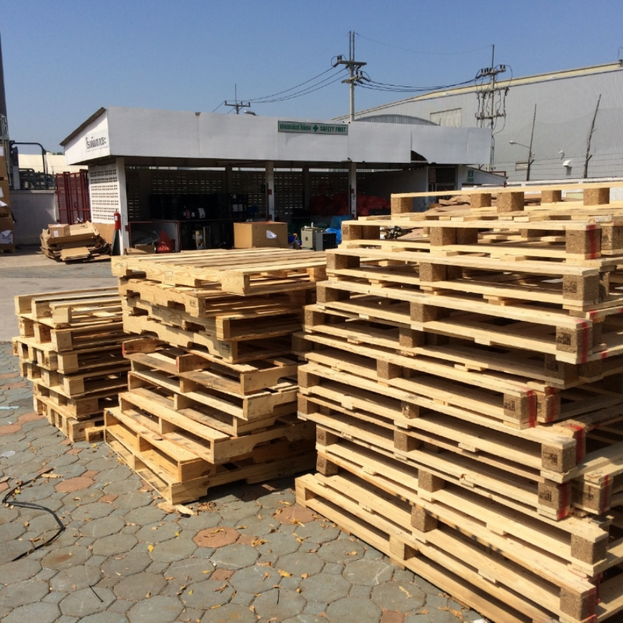 Kema Pal Palette Rennes Ap
